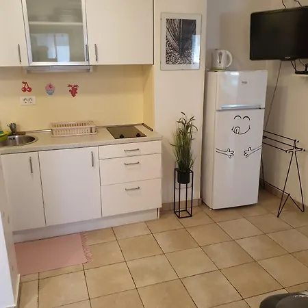 Apartment Emma Ljubljana - Free Parking, Ac, Wifi Room photo