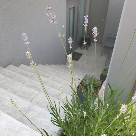 Apartment Emma Ljubljana - Free Parking, Ac, Wifi Room photo