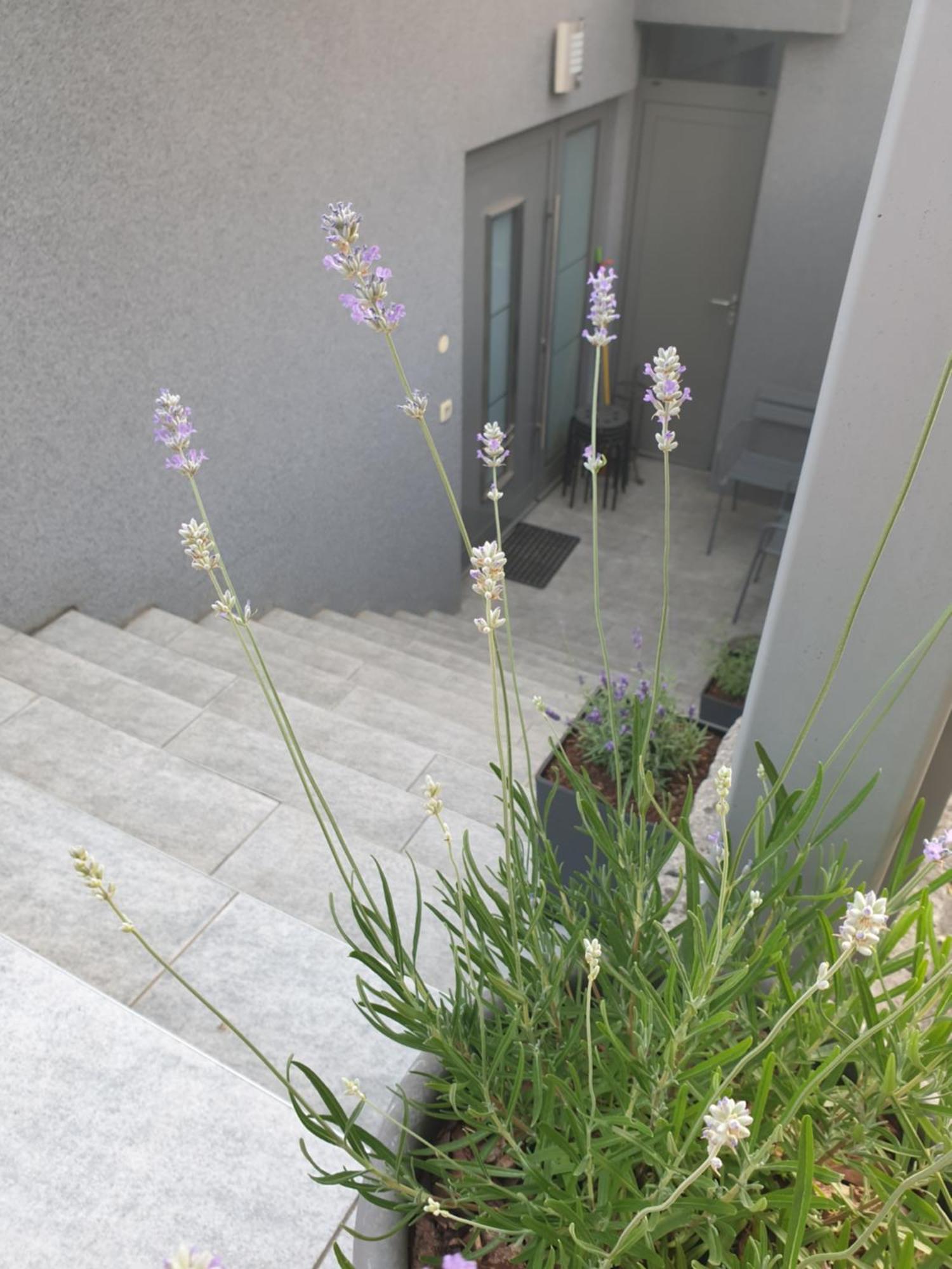 Apartment Emma - Free Parking, Ac, Wifi